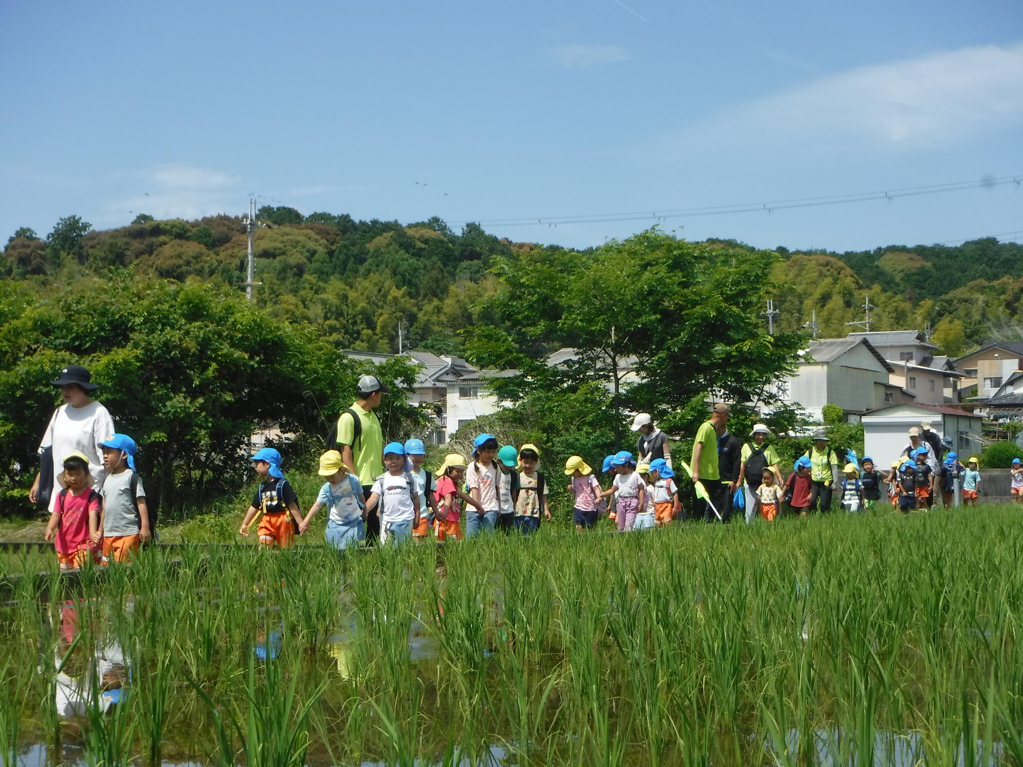 田んぼへ遊びに行こう！