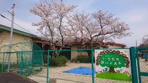 緑のフェンスに保育園の看板があり、大きい木と園舎が写っている写真