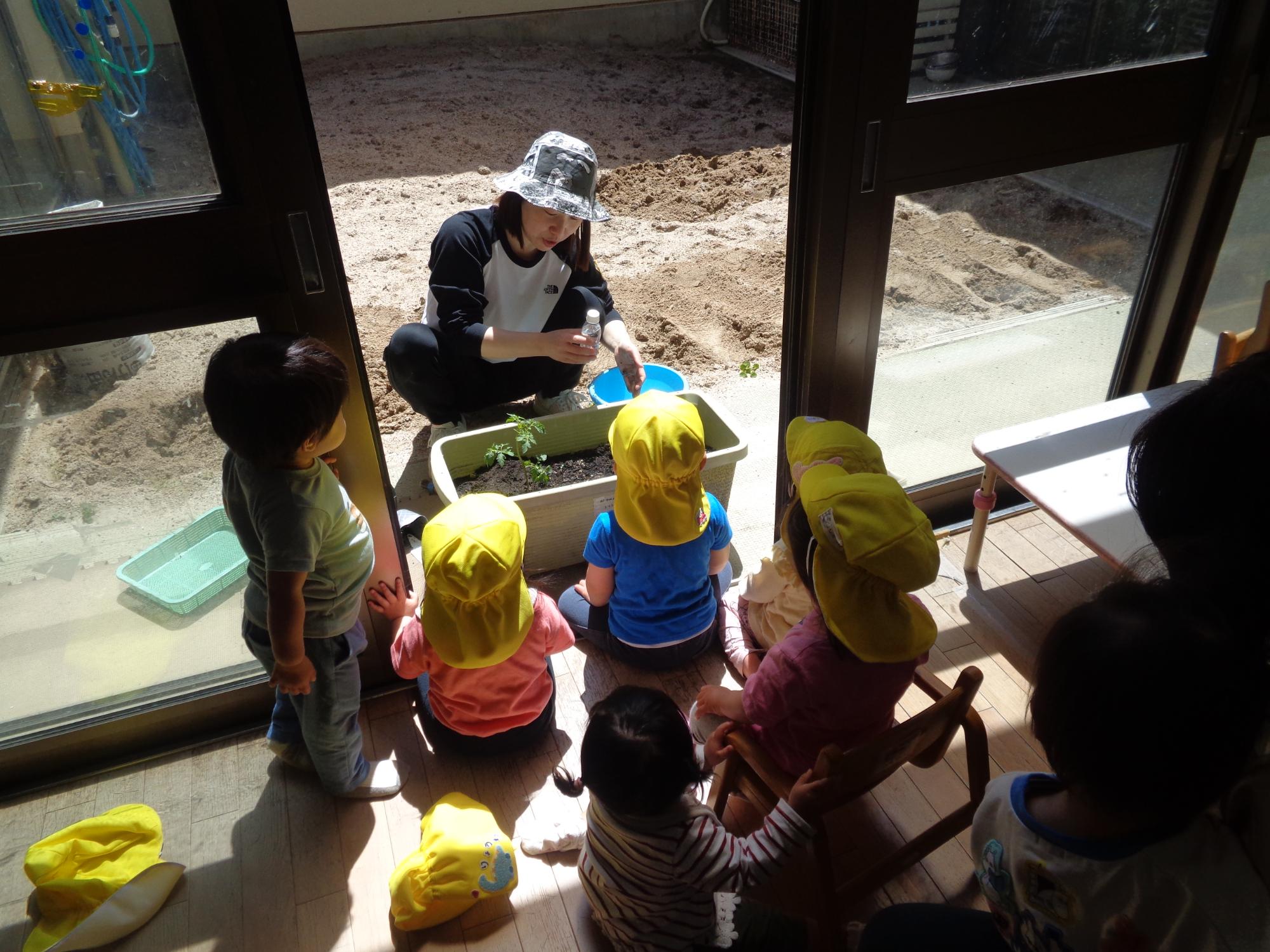 0.1歳児の子どもたちが苗植えをみている。