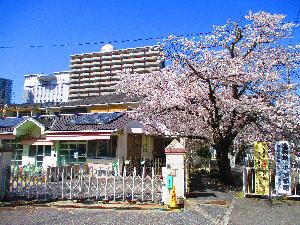 園舎の様子