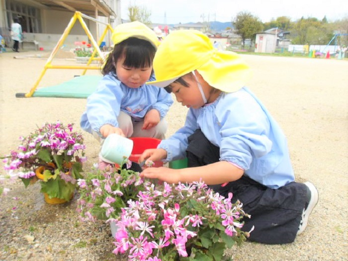 元気がないお花に水やりをする4歳児
