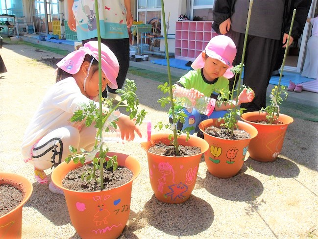 親子で植えたミニトマトの世話をする4歳児