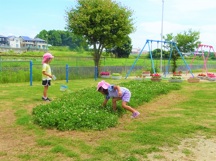 芝生ゾーンがあります