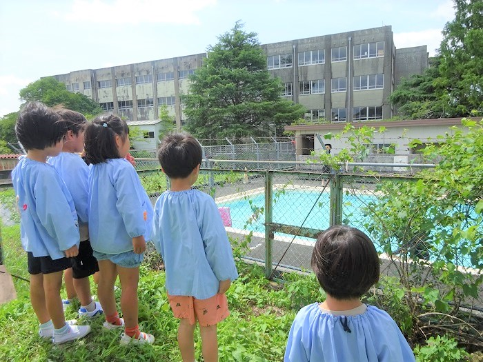 小学校のプールで5歳児が遊ぶ様子を見る4歳児