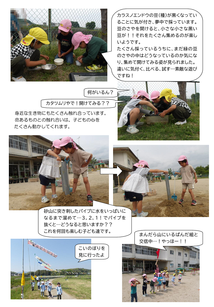 4歳児,5月の遊びの様子を伝える園内掲示3
