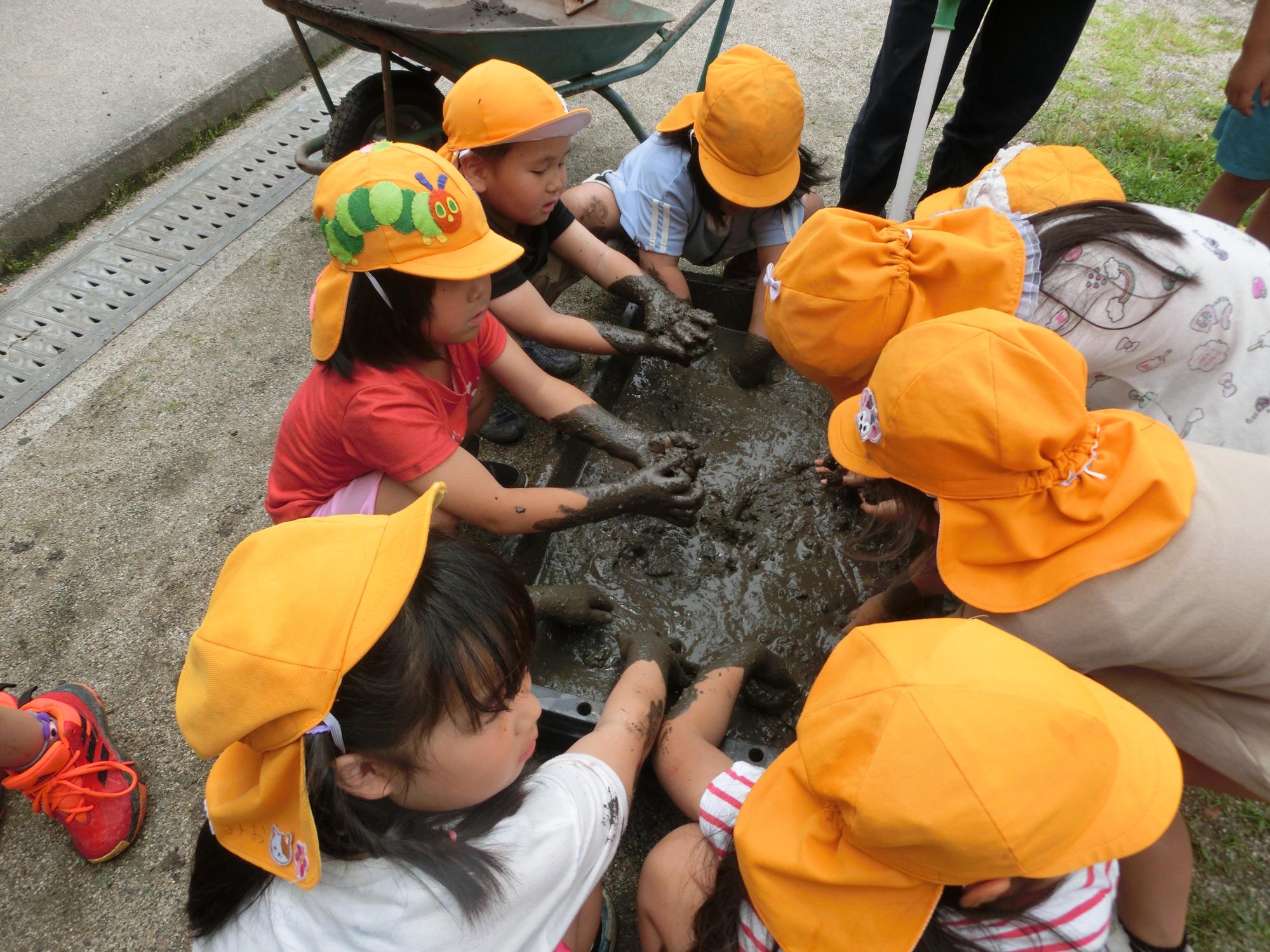 5歳児が泥で田んぼをつくっているところ