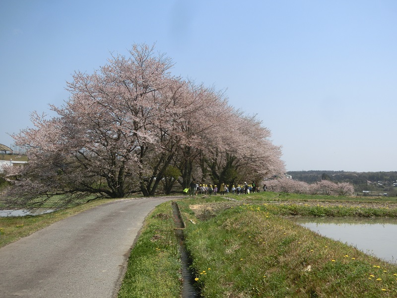 バスに乗って伊香立に園外保育にいったよ