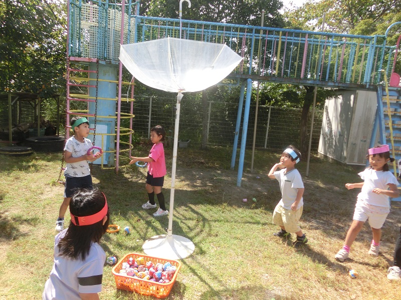 4歳児傘で玉入れ