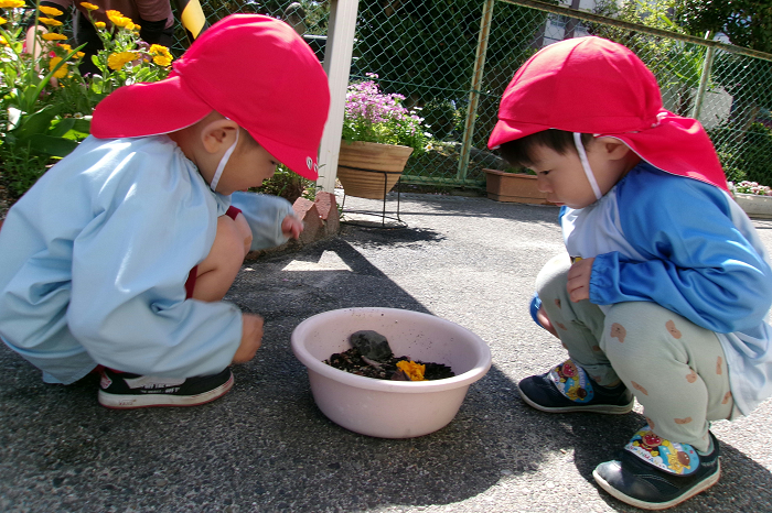 4歳児が友達と一緒にダンゴムシを見ているところ