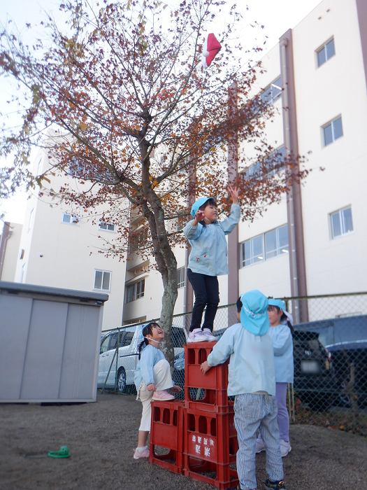 5歳児が木の上にひっかかったサンタの帽子を台に乗って取ろうとしているところ