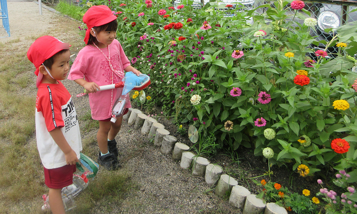 4歳児が花壇で虫探しをしているところ