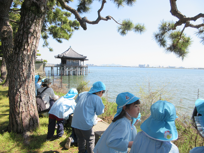 5歳児が浮御堂を見ているところ