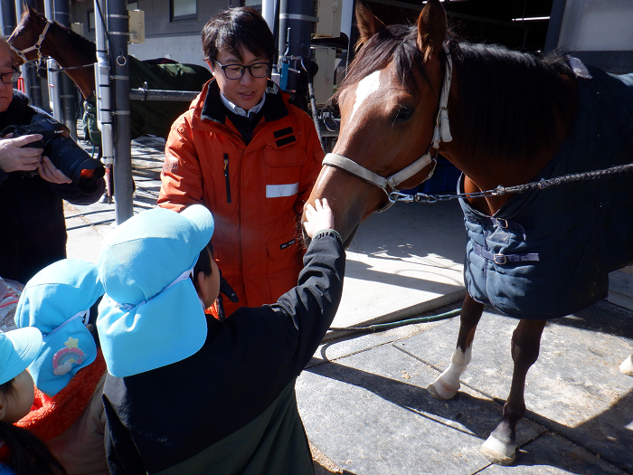 競走馬の顔をなでる5歳児
