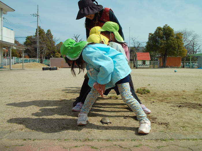 数人の子どもと先生が足を開けてトンネルをつくり、その下をカメが通っている