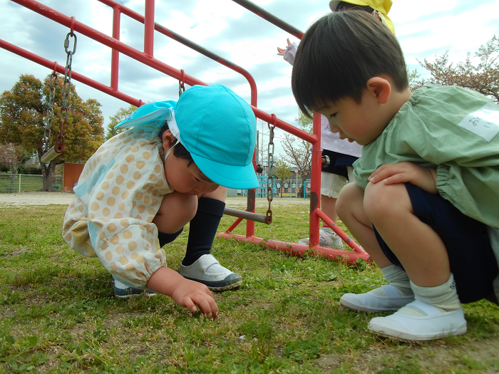 三歳児が地面にいるダンゴムシをつかもうとしている