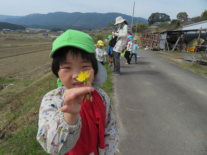 たんぽぽを手に持ち、嬉しそうな顔をしている4歳児