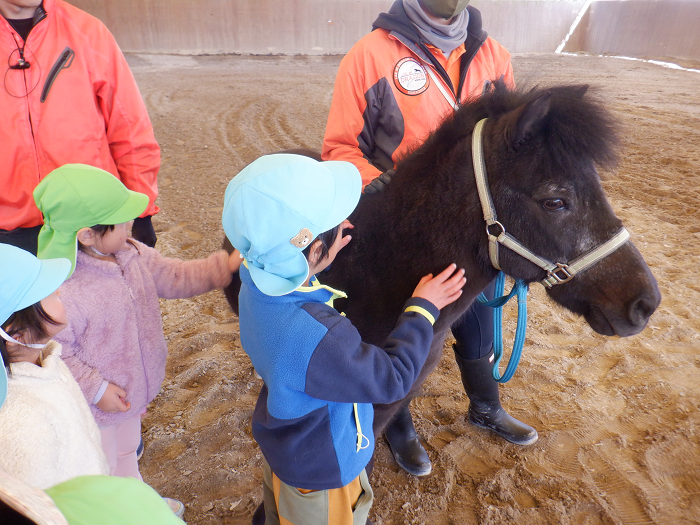 馬のポニーの首をなでる子ども