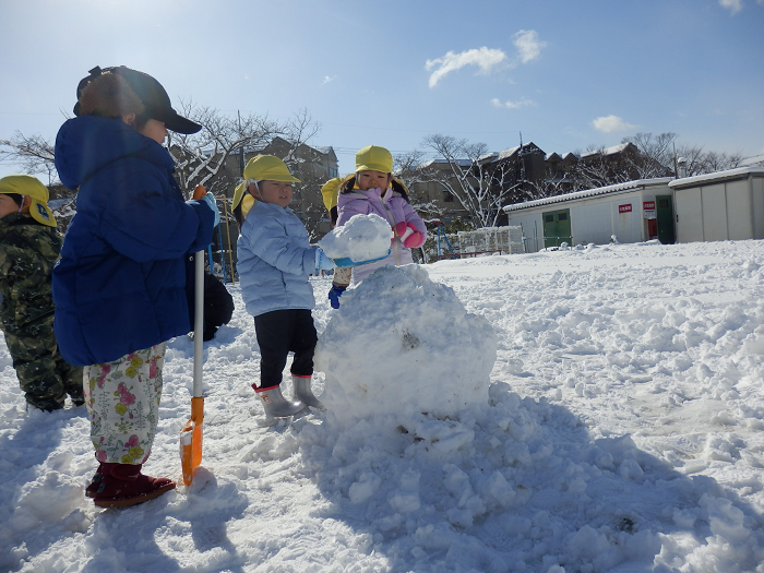 3歳児がスコップで雪をすくって雪だるまを作っている
