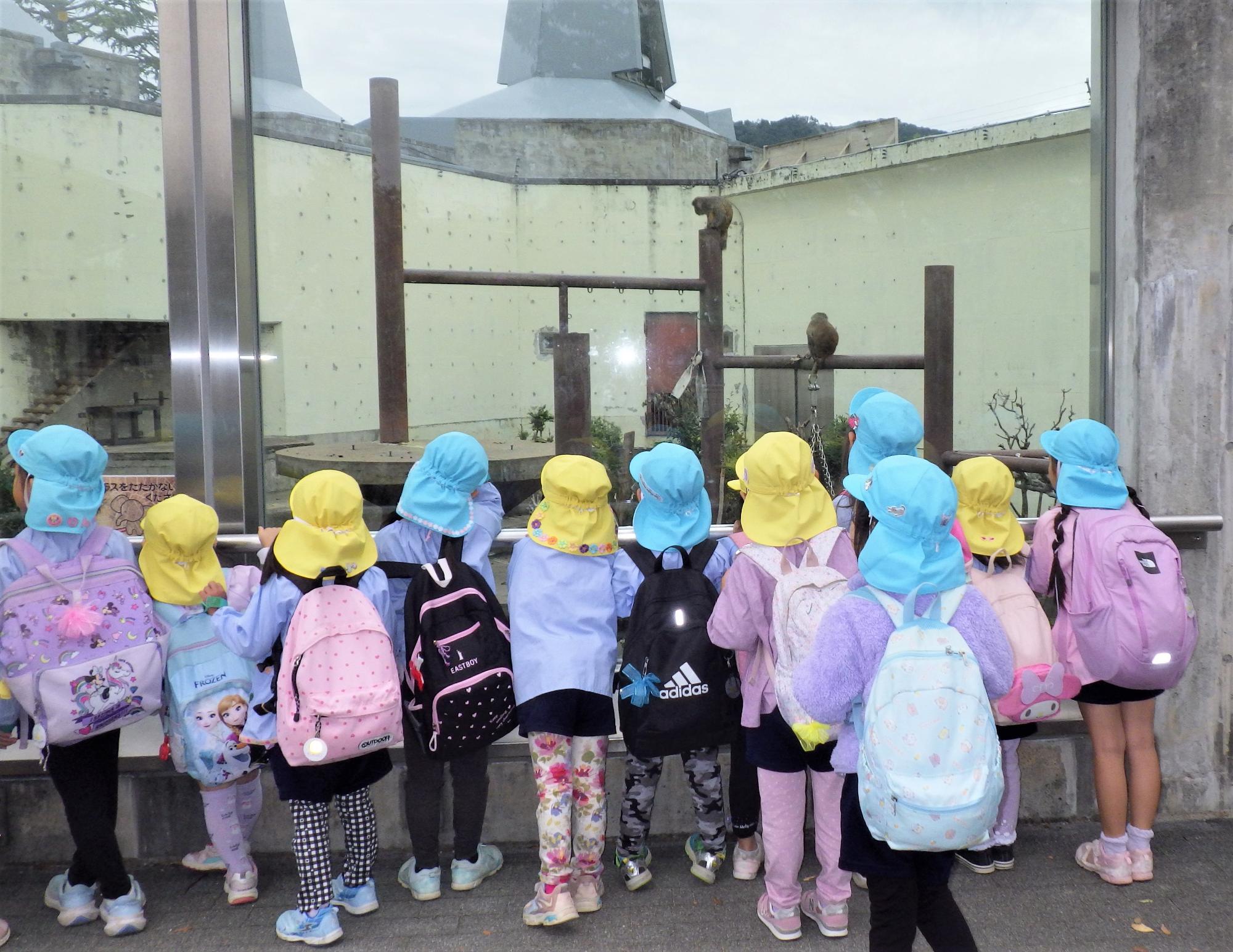 京都動物園で動物を見る子どもたちの様子