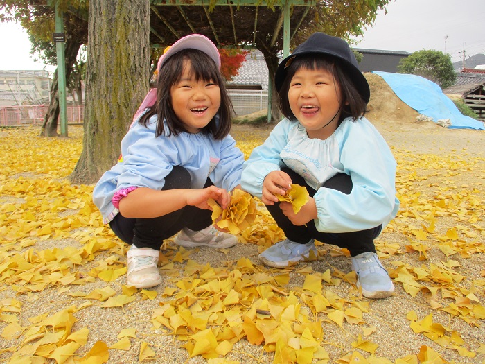 子どもがイチョウの葉を集めている様子