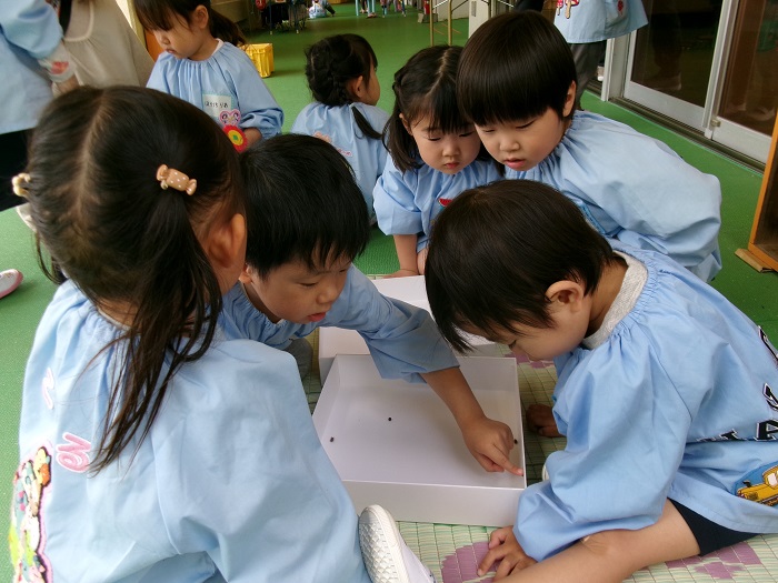 子どもたちが箱に入っているダンゴムシを眺めている様子