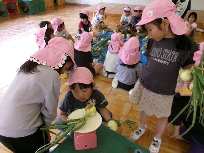 3人の子どもが収穫した玉ねぎをはかりに乗せて、重さを比べている様子