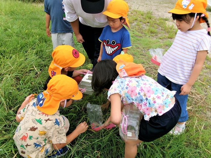 子どもたちが虫捕りをして遊んでいるところ