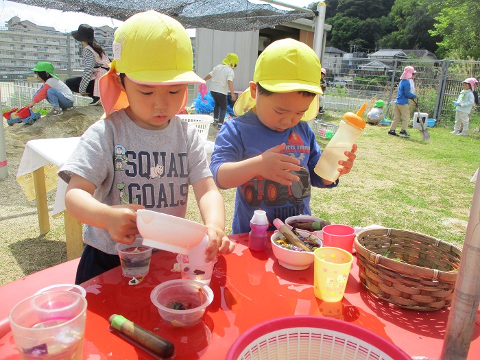 草花をつかって色水をつくる4歳児