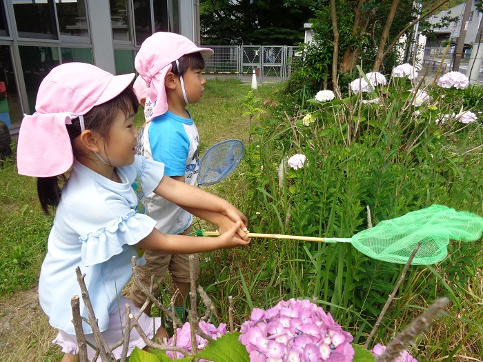 虫取りをする子どもたち