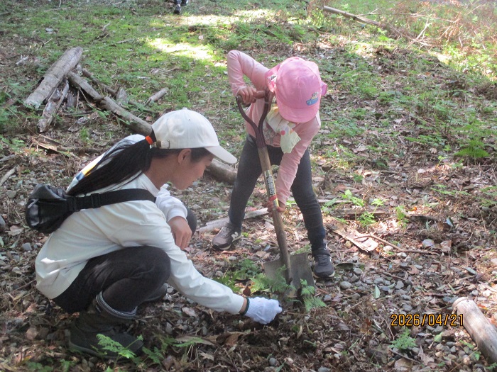 親子でダケノコ掘りをする様子