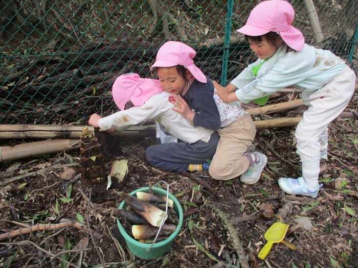 タケノコを取ろうとみんなで力を合わせている5歳児の様子