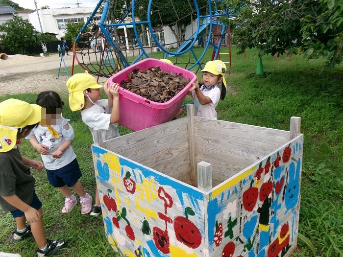 4歳児集めた葉っぱをコンポストに入れているところ