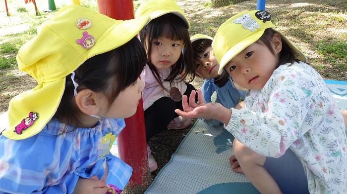 4歳児4月チョウチョ大丈夫かな