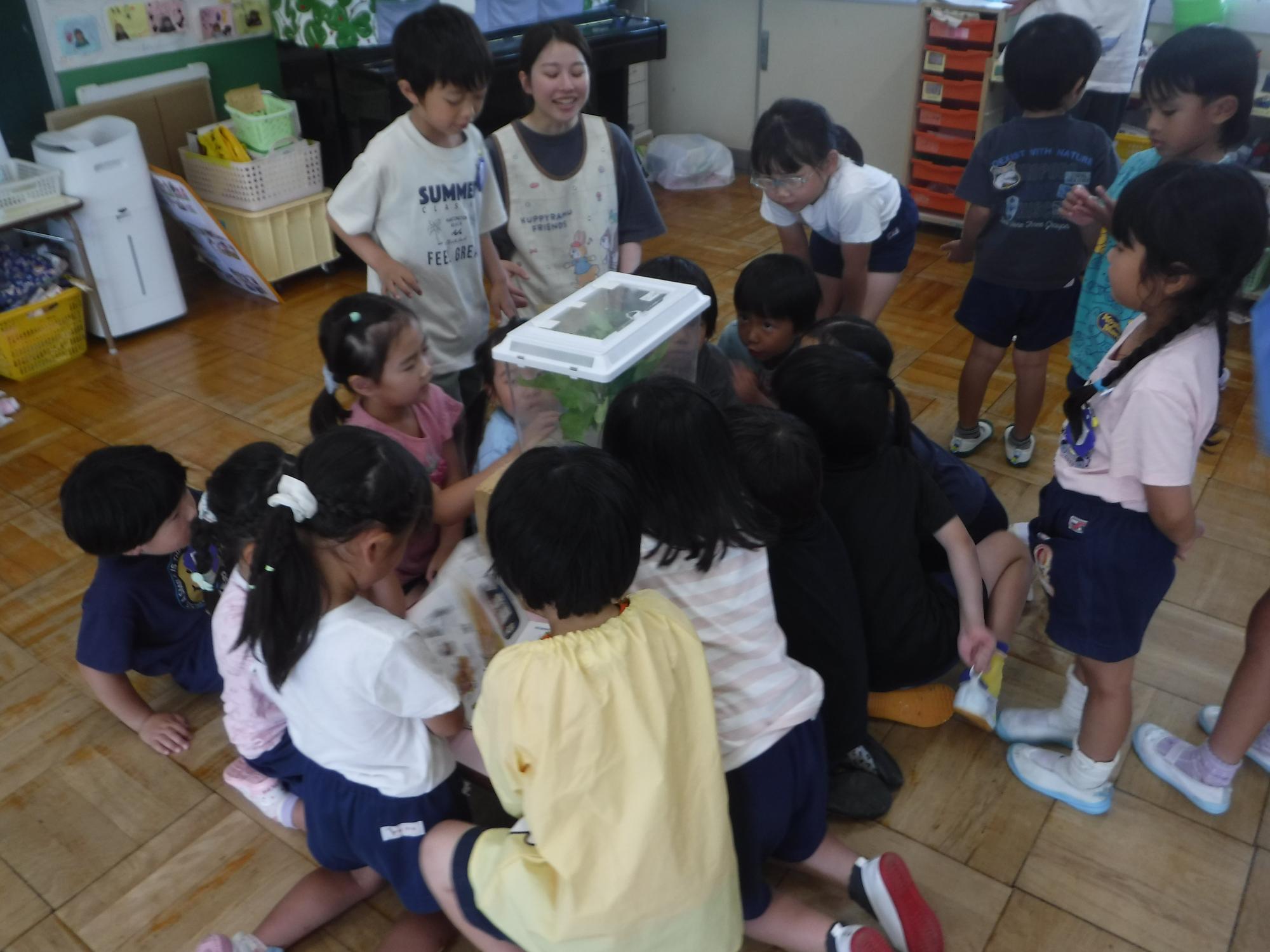5歳児がアゲハチョウに歌を歌っているところ