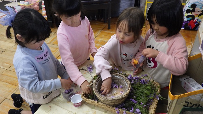 5歳児藤の花の匂い