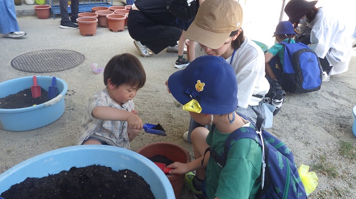 5歳児親子でピーナッツ植えている
