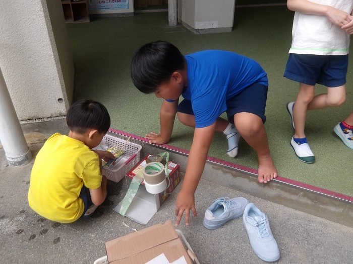 預かり保育亀を探しているところ