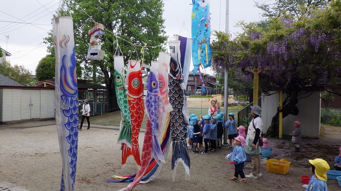 こいのぼりあげている