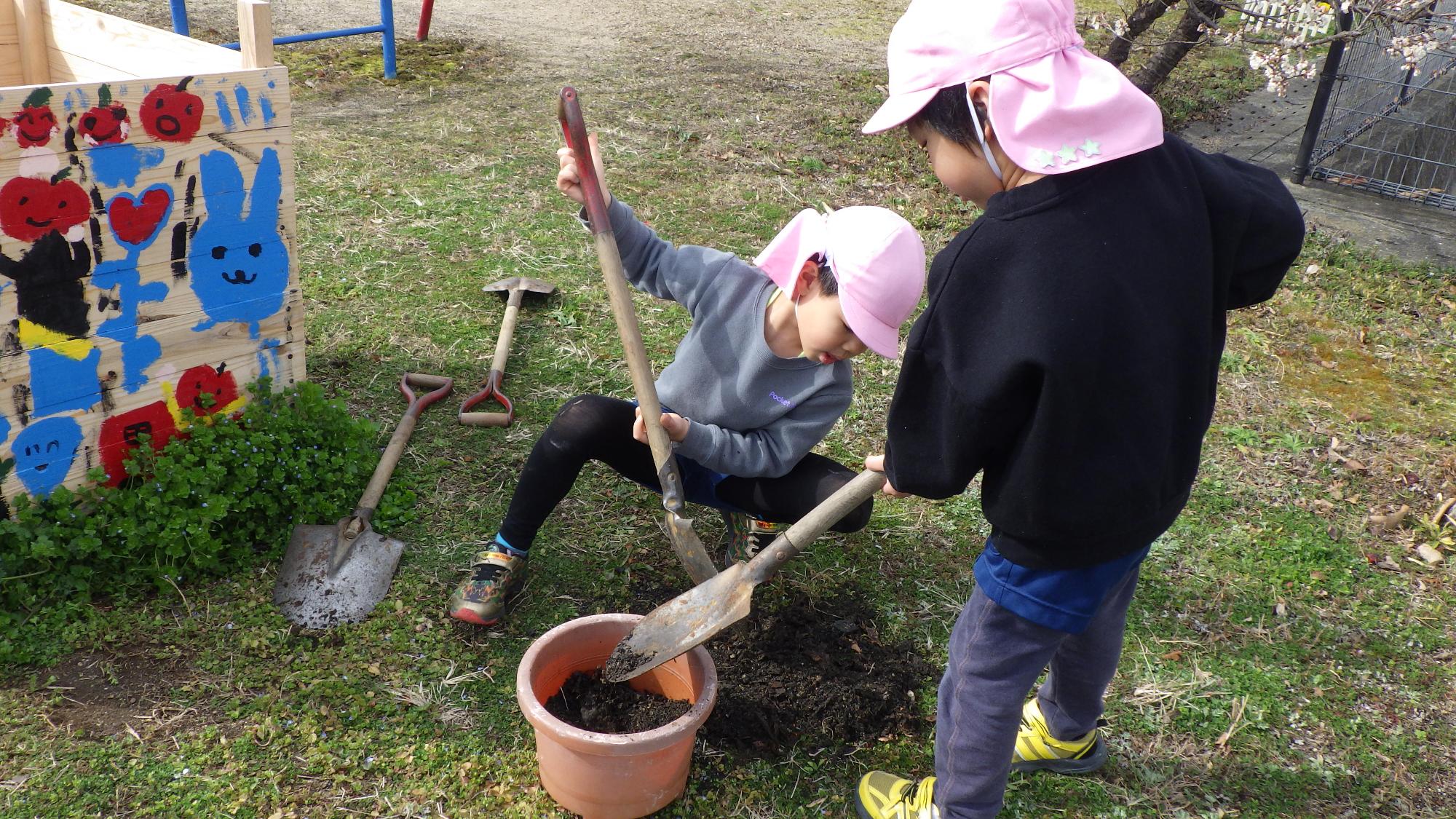 コンポスト種植え