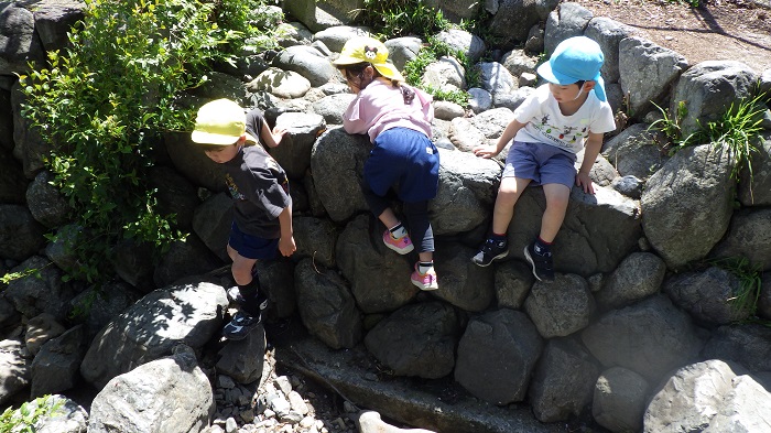4月小学校散歩