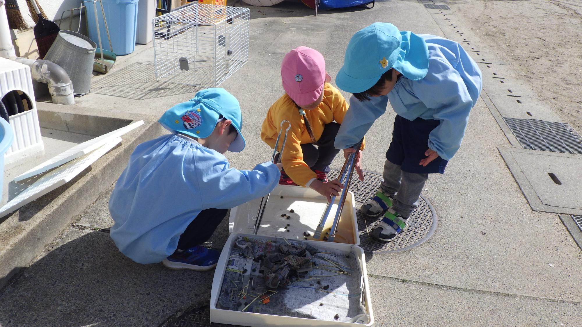 うさぎ当番引継ぎする