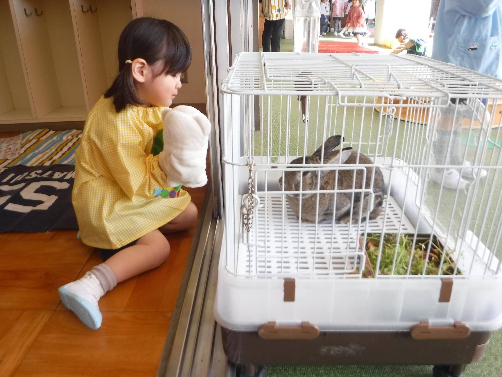 うさぎを触っているところ