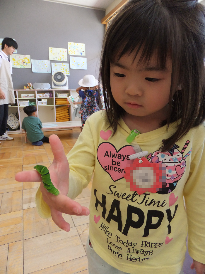 4歳児　ちょうちょさんがかえったよ