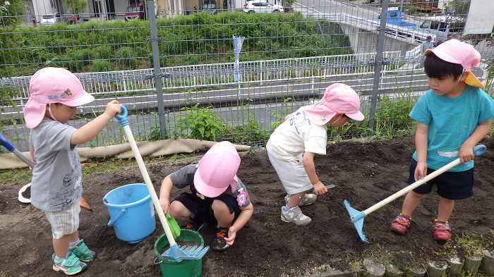 3歳児　みんなで畑をたがやしているところ