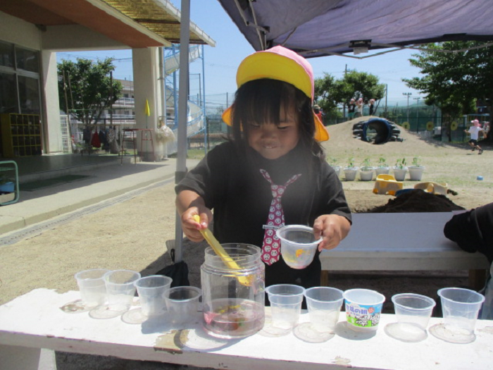 4歳児色水遊び