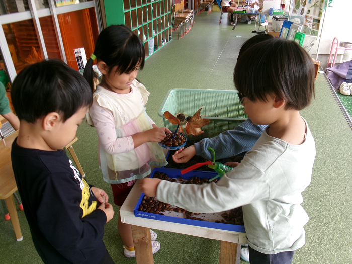 自然物でお店屋さんごっこ