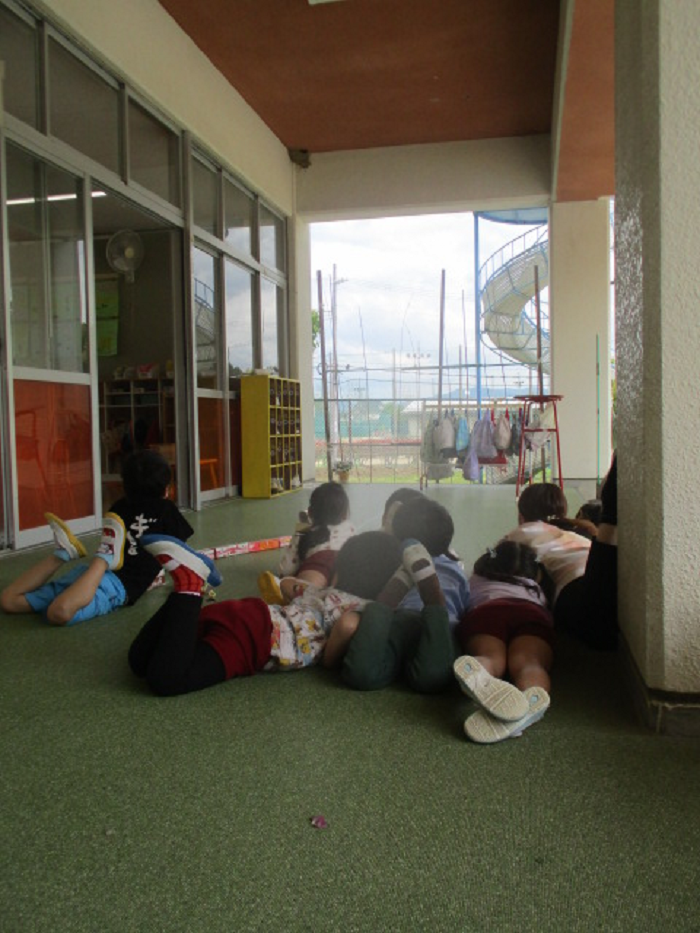 すずめの赤ちゃんを見る5歳児