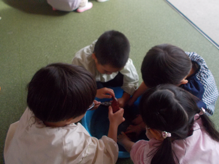 さつまいもを洗う3歳児