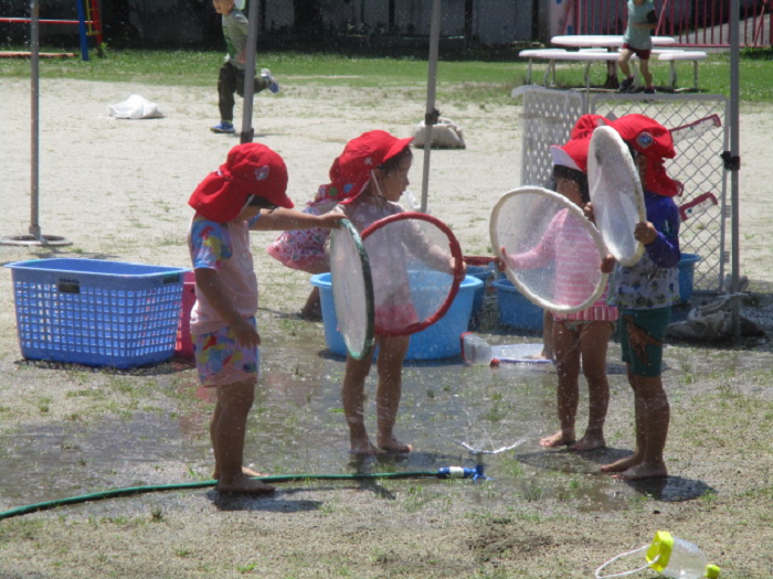 3歳児水遊び
