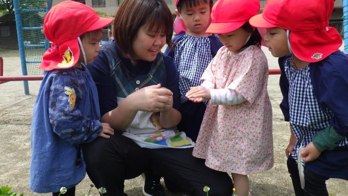 赤ちゃんバッタを見つけてみんなで見ている3歳児